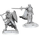 Wizkids - Nolzur's Marvelous Miniatures Wave 20