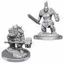 Wizkids - Nolzur's Marvelous Miniatures Wave 18