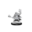 D&D - Frameworks - Dwarf Cleric Female