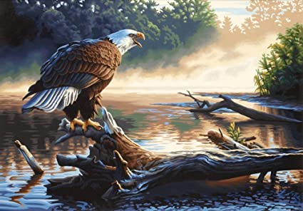 PaintWorks - Paint By Numbers - Eagle Hunter