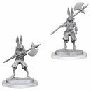 Wizkids - Nolzur's Marvelous Miniatures Wave 18
