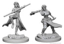 Wizkids - Nolzur's Marvelous Miniatures