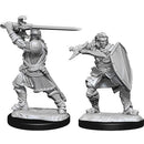 Wizkids - Nolzur's Marvelous Miniatures