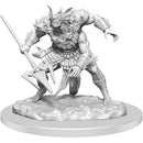 Wizkids - Nolzur's Marvelous Miniatures Wave 20