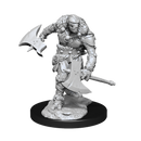 Wizkids - Nolzur's Marvelous Miniatures