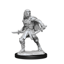 Wizkids - Nolzur's Marvelous Miniatures
