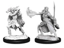 Wizkids - Nolzur's Marvelous Miniatures